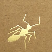 SecretTreasure11