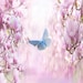 BluebutterflyByTammy