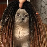 DreadShu