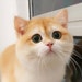 Philip