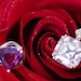 IZARAJewelry