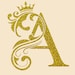 Arfa Enterprises