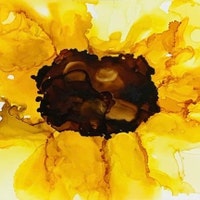 SunflowerStudioByCat