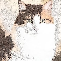 MajesticElfCat