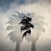 Saltweather