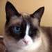 Hallie Oneeyecat