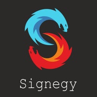 Signegy