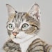 Buyer Avatar