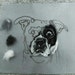 Dexihexi Pouch Puppies avatar