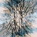 TheMysticDoula