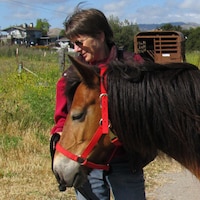 LaughingMare