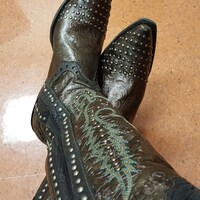 RazorbackWestern