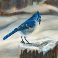 MyFavoriteBirds