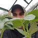 Harold at Redemption Permaculture