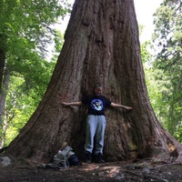 TreeCycleART