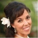 Carol Andersen