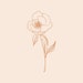 WILDBIRDSJewelry