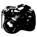 Arrin avatar