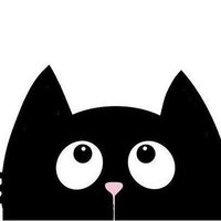 CatStuffCo