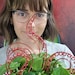 PlantasticbyDaley