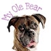 Buyer Avatar