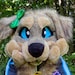 Buyer Avatar