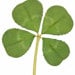 lucktrader