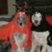 2DogsWoodWorking