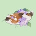 Buyer Avatar