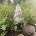 Lambrese Homestead Ours to Yours. avatar