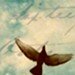 ImagineArt7 avatar