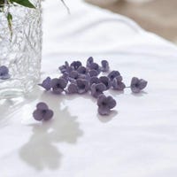 PetalInspiration