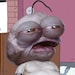 Buyer Avatar