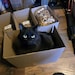 TheCrittersCave