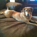 User photo