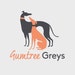 Gumtree Greys