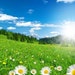 Naturallydryflora