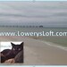 Lowery's Loft LLC