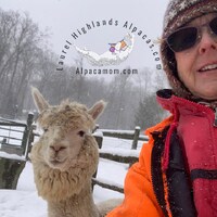 AlpacaMomdotcom