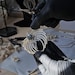 JewelryGoldenBones