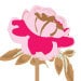 OperaRose
