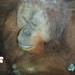 nan jiang avatar