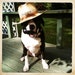 Buyer Avatar