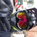 Buyer Avatar