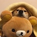 Ginnyzhu