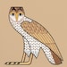 WylieOwlBoutique