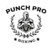 PunchPro Boxing