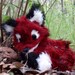 Starr Fox avatar