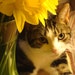 Gary