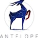 AntelopePuzzle